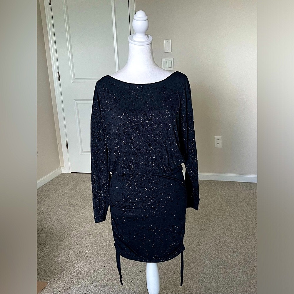 NWT ⭐️🔥Chaser Sparkly Mini Dress with Ruched Sides Size Small ⭐️🔥